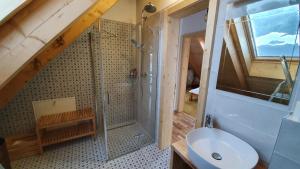 Koupelna v ubytování VILA LESNA House with a garden 2 minutes from the center of the Tatras