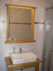 een badkamer met een wastafel en een spiegel bij Urlaub am Bauernhof Höbarten in Sankt Anton an der Jessnitz