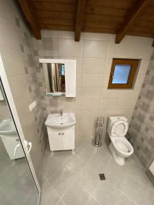a bathroom with a toilet and a sink at Persey Villa Borovets in Borovets