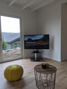 un soggiorno con una grande TV a schermo piatto a parete di Ferienhaus Schieferterrasse - Waldsee Rieden - a Rieden