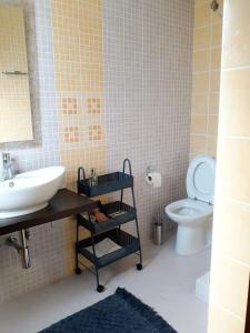 a bathroom with a sink and a toilet at Galini Estate in Karditsa