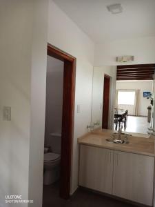 a bathroom with a toilet and a counter with a sink at Bº CERRADO LOMAS DEL REY MAYU SUMAJ in San Antonio de Arredondo
