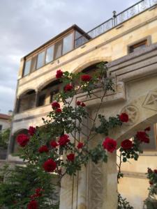 um ramo de flores vermelhas no lado de um edifício em Peace Stone House em Goreme