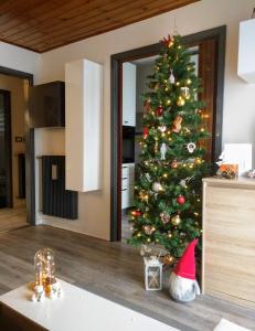 Un árbol de Navidad con un sombrero de Santa en una cocina en Regina del Bosco della vicina Cavalese, en Daiano