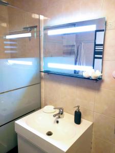 a bathroom with a sink and a mirror at Regina del Bosco della vicina Cavalese in Daiano