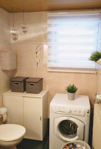 un piccolo bagno con lavatrice e servizi igienici di Regina del Bosco della vicina Cavalese a Daiano