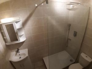 ロンドンにあるCanary Wharf Apartmentのバスルーム(シャワー、トイレ、シンク付)