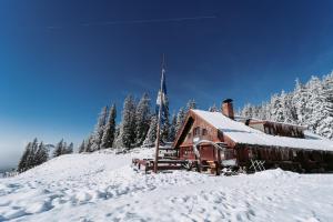 a log cabin in the snow with a flag at Obere Maxlraineralm in Spitzingsee
