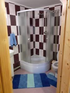ヤレムチャにあるHoliday Home Melodiya Karpatのバスルーム(シャワー、トイレ付)
