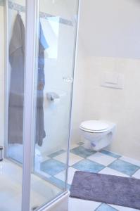 bagno con doccia e servizi igienici. di Ferienwohnung Deichapfel im Alten Land (Jork) a Jork