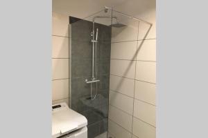 a bathroom with a shower with a toilet and a sink at Apartament Fibra Americano in Rybnik +15 photos