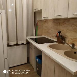a kitchen with a sink and a counter top at Apartament pod zamkiem in Olsztyn
