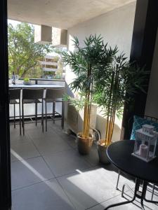 Midnight Luxe 1BR 1Bath Apartment 104 in the heart of Braddon Pool Sauna Secure Parking Wine WiFi的阳台或露台
