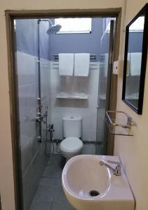 ein Bad mit einem WC, einem Waschbecken und einer Dusche in der Unterkunft Teriang Village Inn in Kampung Padang Masirat