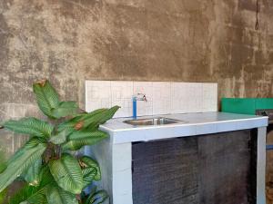 a kitchen counter with a sink and a plant at Ezekiel Transient House in Coron