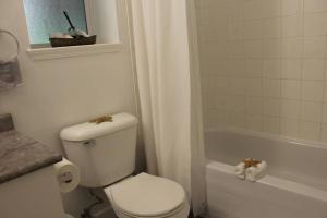 Vannituba majutusasutuses Memory Lane Guest Suite +12 fotot