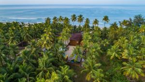 Gallery image of Funtastico Beach Resort in Malvan