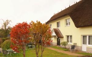 ein Haus mit einem roten Baum im Hof in der Unterkunft Uns Wiek-Hus in Middelhagen