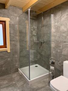 a shower with a glass door in a bathroom at Domek Franianiesulice in Niesulice