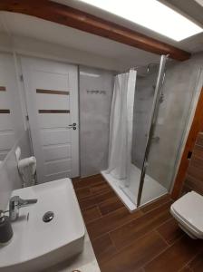 Koupelna v ubytování Apartamenty przy Świerku + 37 fotografií