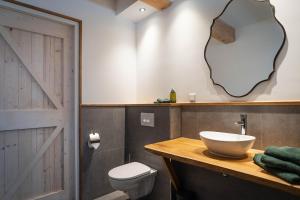 een badkamer met een wastafel, een toilet en een spiegel bij Wijngaard de Kroon van Texel in Den Burg +16 foto's