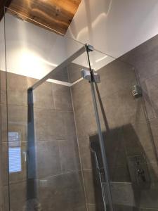 een douche met een glazen deur in de badkamer bij Bootshaus am Hallstätter See in Hallstatt