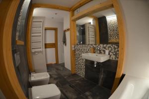 a bathroom with a sink and a toilet and a mirror at HARLEY STYLE APARTAMENT in Muszyna