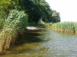 Naturlandschaft in der Nähe der Ferienwohnung