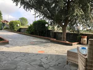 a patio with a tree and a table and chairs at Dependance in villa, Etna, natura, relax in Nicolosi