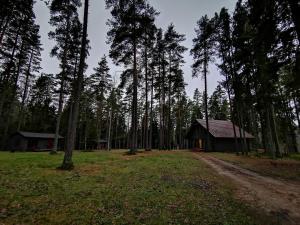 a small cabin in the middle of a forest at Kempings Ozolkalns in Cēsis