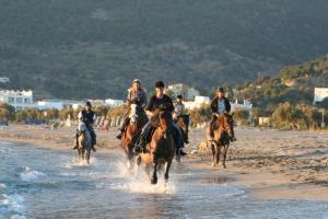 Hosté ubytování Alianthos Beach Hotel