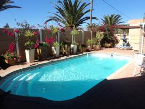 a large blue swimming pool with palm trees and plants at Thornbay accommodation in Doring Bay