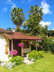 a house with two palm trees and pink flowers at Kitnet Penedo in Penedo