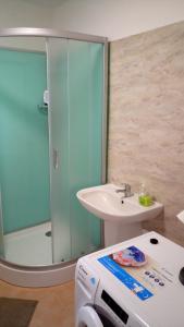 a bathroom with a glass shower and a sink at Penzion Ostrov u Stribra 13 in Kostelec