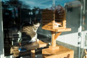 Galería fotográfica de HELLO Make Yourself at Home en Kenting