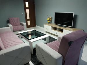 a living room with pink chairs and a tv at Meny Apartaments in Codlea