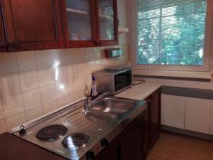 a kitchen with a sink and a microwave at Dom Petra in Štúrovo