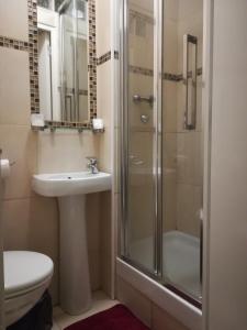 a bathroom with a shower and a sink and a toilet at Résidence Pearl in Nice