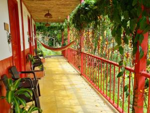 a balcony with a red fence and plants at Lodge Paraíso Verde in Manizales