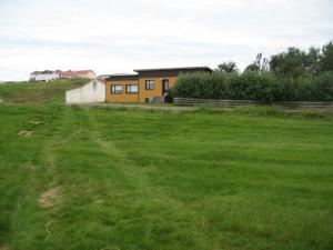a house in the middle of a grass field at Midhop guesthouse in Þingeyrar