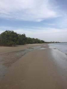 an empty beach with trees in the distance at Feel Free Lodge in Jinack Island