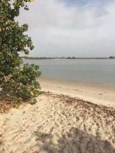 a sandy beach with trees and the water at Feel Free Lodge in Jinack Island
