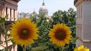 a group of yellow sunflowers in front of a building at Residenza Cavallini in Rome