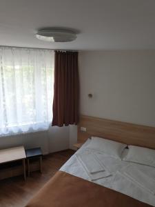 - une chambre avec un grand lit et une fenêtre dans l'établissement Casa Patricia, à Lupeni