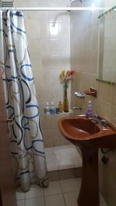 科尔多瓦Departamento en Nueva Córdoba的带水槽和浴帘的浴室
