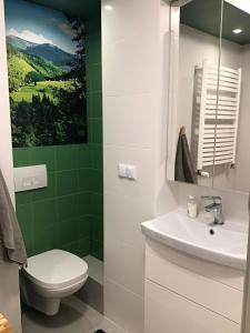 a bathroom with a toilet and a sink at Apartament Karpaty in Krynica Zdrój