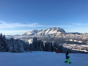 Berghof Haselsberger during the winter