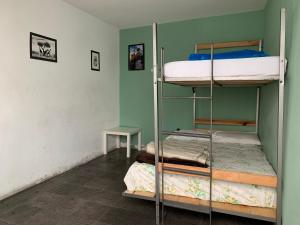 Postel nebo postele na pokoji v ubytování Monkey Safari Hostel