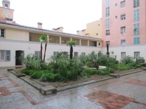 une cour dans un bâtiment avec des arbres et des plantes dans l'établissement Le Ptit Niçois sur le Port, à Nice