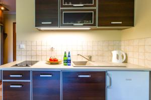 uma cozinha com um lavatório e uma bancada em Butorowy Residence em Kościelisko